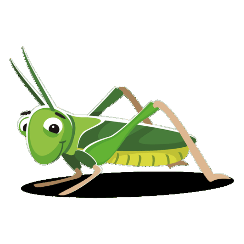 Ray Page Cricket